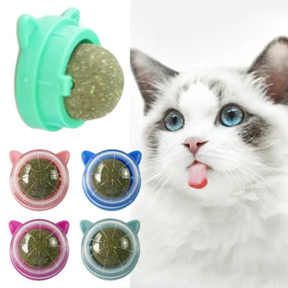 Catnip Ball For Wall