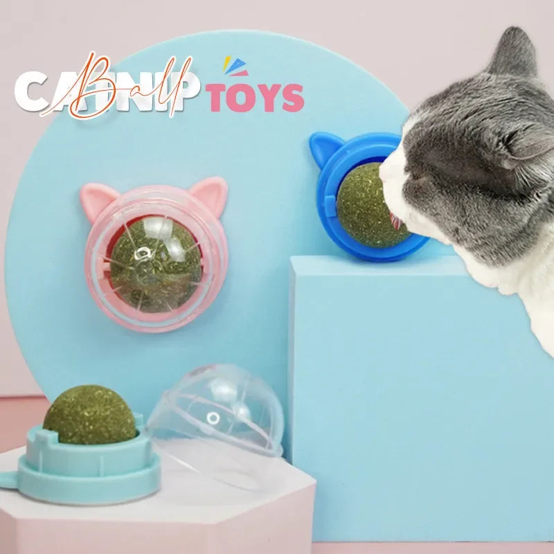 Catnip Ball For Wall