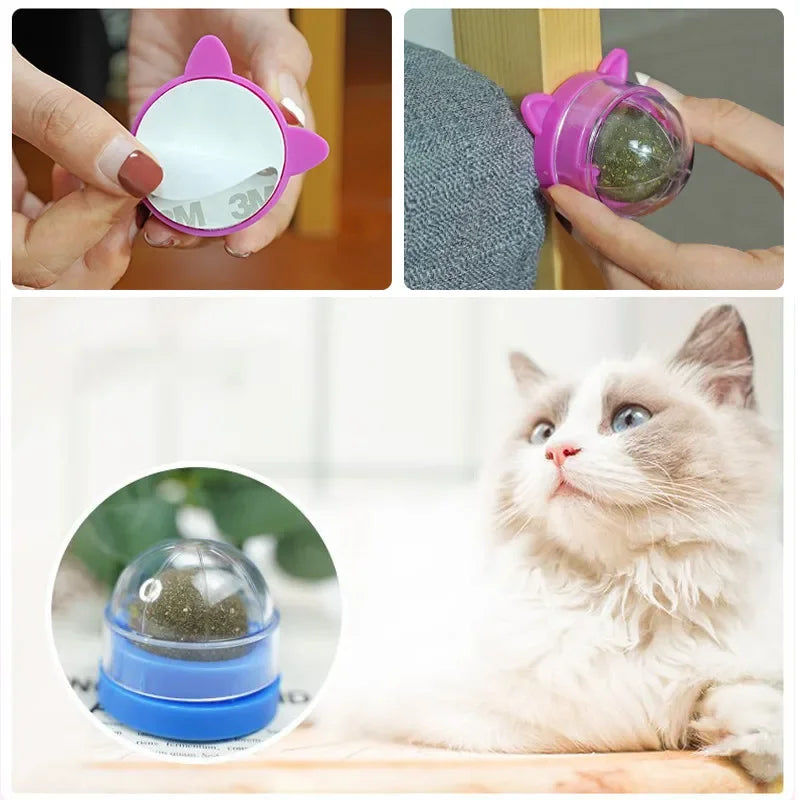 Catnip Ball For Wall